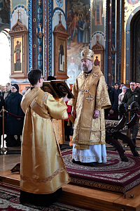 Тут описание фото или заголовок новости