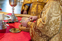 Тут описание фото или заголовок новости