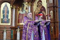 Тут описание фото или заголовок новости