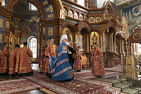 Тут описание фото или заголовок новости