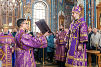 Тут описание фото или заголовок новости
