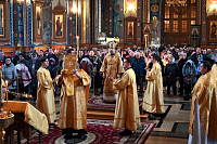 Тут описание фото или заголовок новости