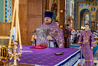 Тут описание фото или заголовок новости