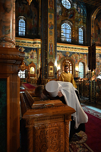 Тут описание фото или заголовок новости