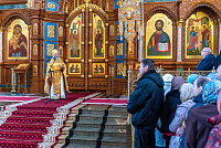 Тут описание фото или заголовок новости