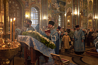 Тут описание фото или заголовок новости