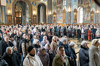 Тут описание фото или заголовок новости