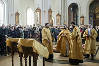 Тут описание фото или заголовок новости