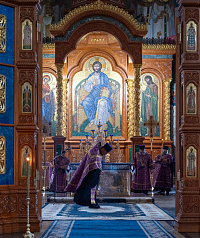 Тут описание фото или заголовок новости