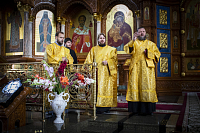 Тут описание фото или заголовок новости