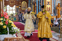 Тут описание фото или заголовок новости