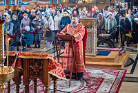 Тут описание фото или заголовок новости