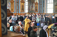 Тут описание фото или заголовок новости