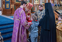 Тут описание фото или заголовок новости