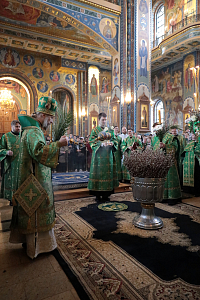Тут описание фото или заголовок новости