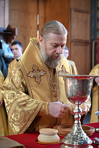 Тут описание фото или заголовок новости