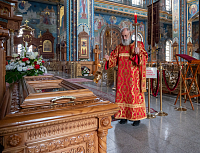 Тут описание фото или заголовок новости