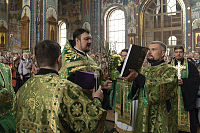 Тут описание фото или заголовок новости