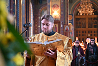 Тут описание фото или заголовок новости
