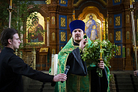 Тут описание фото или заголовок новости