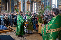 Тут описание фото или заголовок новости