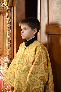 Тут описание фото или заголовок новости