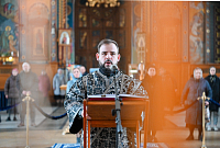 Тут описание фото или заголовок новости