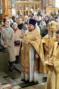 Тут описание фото или заголовок новости