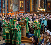 Тут описание фото или заголовок новости