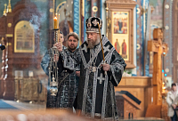 Тут описание фото или заголовок новости
