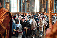 Тут описание фото или заголовок новости