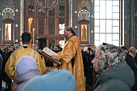 Тут описание фото или заголовок новости