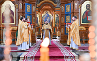 Тут описание фото или заголовок новости