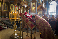 Тут описание фото или заголовок новости