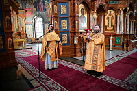 Тут описание фото или заголовок новости