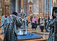 Тут описание фото или заголовок новости