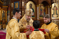 Тут описание фото или заголовок новости
