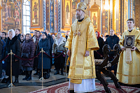 Тут описание фото или заголовок новости