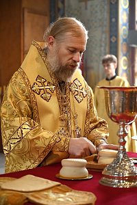 Тут описание фото или заголовок новости