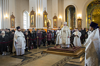 Тут описание фото или заголовок новости