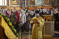 Тут описание фото или заголовок новости