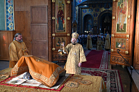 Тут описание фото или заголовок новости