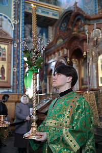 Тут описание фото или заголовок новости