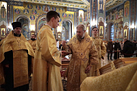 Тут описание фото или заголовок новости