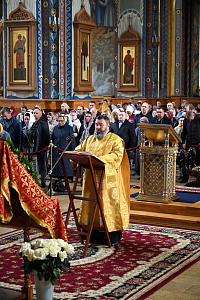 Тут описание фото или заголовок новости