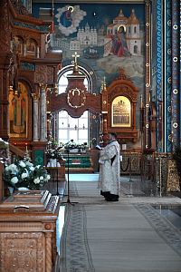 Тут описание фото или заголовок новости