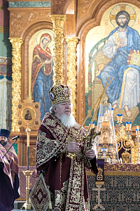 Тут описание фото или заголовок новости