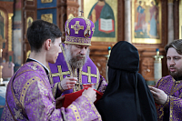 Тут описание фото или заголовок новости