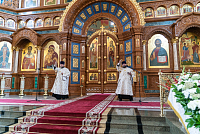 Тут описание фото или заголовок новости