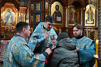 Тут описание фото или заголовок новости